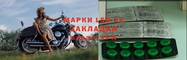 прущие крисы Новокубанск