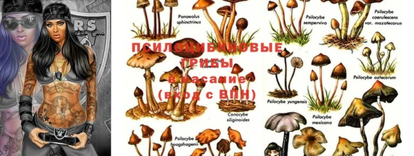 МДМА Бежецк