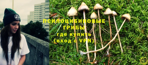 круглые Новодвинск