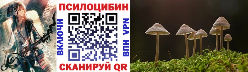 Псилоцибиновые грибы GOLDEN TEACHER  Арамиль 